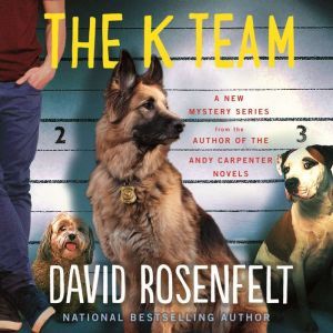 The K Team, David Rosenfelt