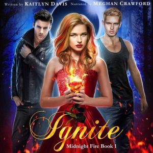 Ignite Midnight Fire Book 1, Kaitlyn Davis