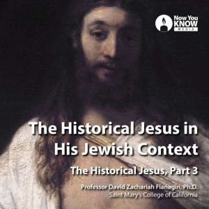 The Historical Jesus in His Jewish Co..., David Z. Flanagin