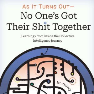 As It Turns Out - No One's Got Their Shit Together: Learnings from inside the Collective Intelligence Journey