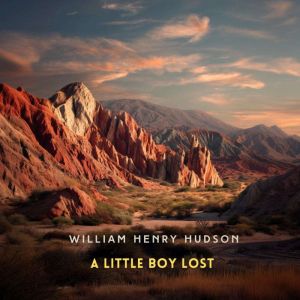 A Little Boy Lost