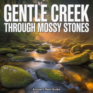 Gentle Creek Through Mossy Stones, Ambient Rest Audio