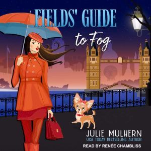Fields Guide to Fog, Julie Mulhern