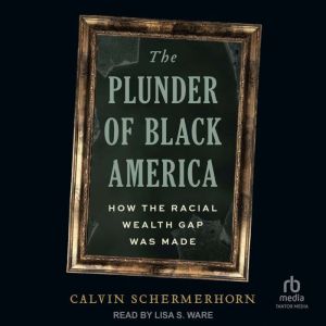 The Plunder of Black America: How the Racial Wealth Gap Was Made