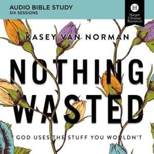 Nothing Wasted Audio Bible Studies, Kasey Van Norman