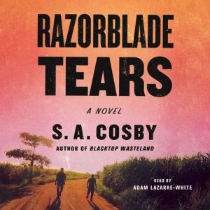 Razorblade Tears, S. A. Cosby