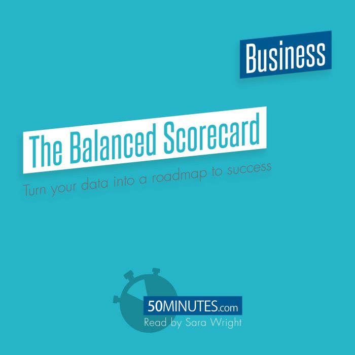 The Balanced Scorecard, 50minutes