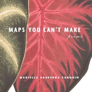 Maps You Cant Make, Mariella Saavedra Carquin