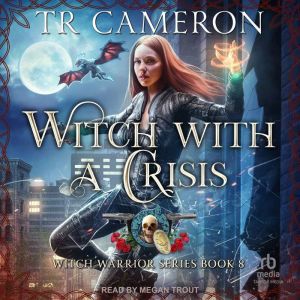 Witch With a Crisis, Michael Anderle