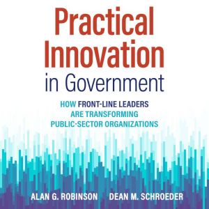 Practical Innovation in Government, Alan G Robinson