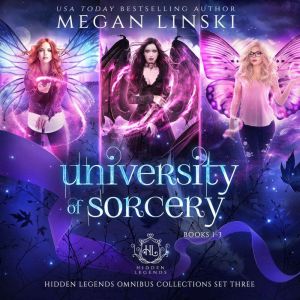 University of Sorcery, Books 13, Megan Linski