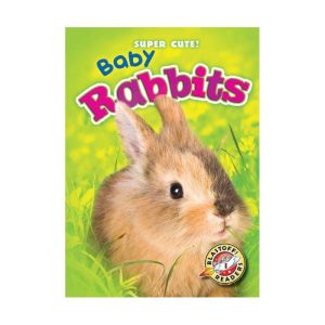 Baby Rabbits, Bethany Olson