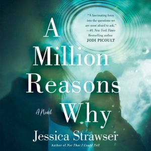A Million Reasons Why, Jessica Strawser
