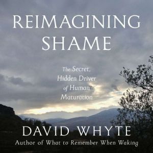 Reimagining Shame, David Whyte