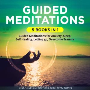 Guided Meditations 5 Books in 1 It i..., Mindfulness Meditations Guru