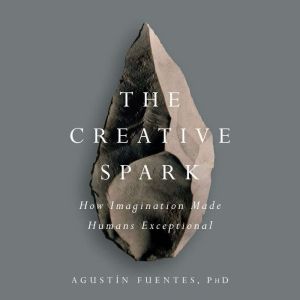 The Creative Spark, AgustAn Fuentes