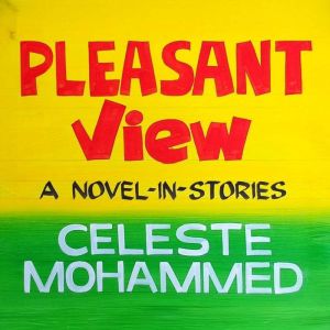 Pleasantview: A Novel-In-Stories