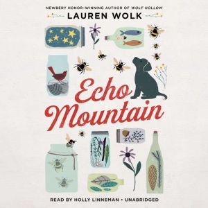 Echo Mountain, Lauren Wolk
