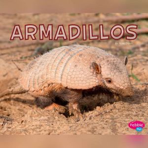 Armadillos, Rose Davin