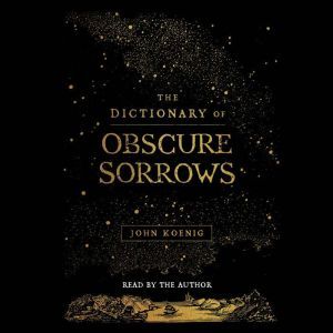 The Dictionary of Obscure Sorrows, John Koenig