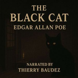 Relax, Get Inspired: The Black Cat