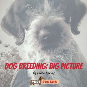 Dog Breeding: Big Picture