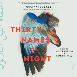 The Thirty Names of Night, Zeyn Joukhadar