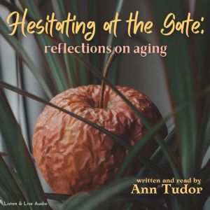 Hesitating at the Gate Reflections o..., Ann Tudor