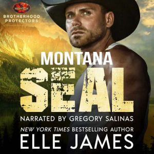 Montana SEAL: Small Town, Military Hero, Romantic Suspense
