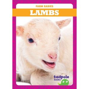 Lambs