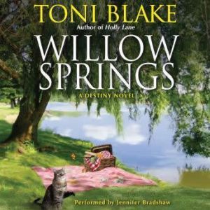 Willow Springs, Toni Blake