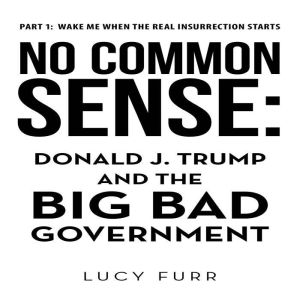 No Common Sense:: Donald J. Trump and the Big Bad Government