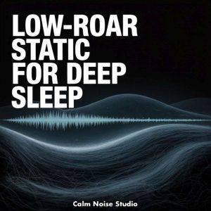 LowRoar Static for Deep Sleep, Calm Noise Studio