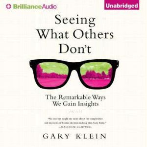 Seeing What Others Dont, Gary Klein