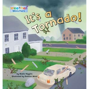 Its a Tornado, Nadia Higgins