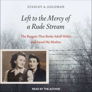Left to the Mercy of a Rude Stream, Stanley A. Goldman