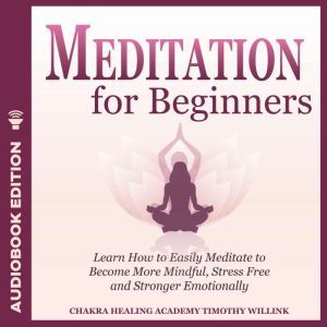 Meditation for Beginners, Timothy Willink