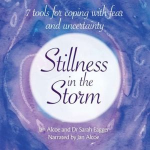 Stillness in the Storm 7 tools for ..., Jan Alcoe