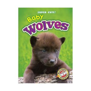 Baby Wolves, Bethany Olson