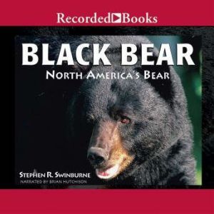 Black Bear, Stephen R. Swinburne