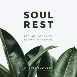 Soul Rest: Reclaim Your Life. Return to Sabbath.