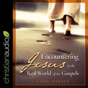 Encountering Jesus in the Real World ..., Cyndi Parker