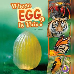 Whose Egg Is This?, Lisa Amstutz