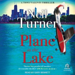 Plane in the Lake, Neil Turner