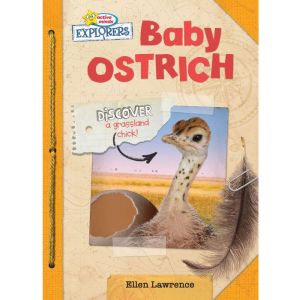 Active Minds Explorers Baby Ostrich, Ellen Lawrence