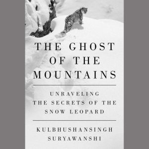 The Ghost of the Mountains, Kulbhushansingh Suryawanshi