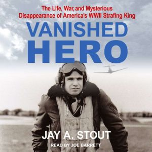 Vanished Hero, Jay A. Stout