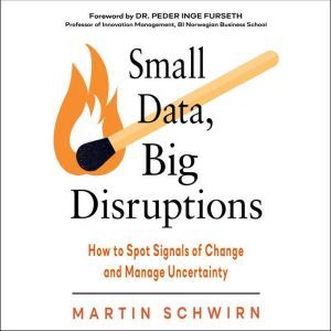 Small Data, Big Disruptions, Martin Schwirn