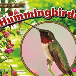 Hummingbirds, Lisa Amstutz