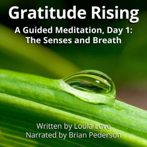 Gratitude Rising, Day 1 A Guided Med..., Loula Love